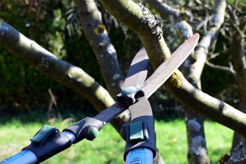 Phoenix Pruning Techniques