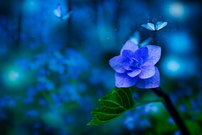 Fantasy Plant